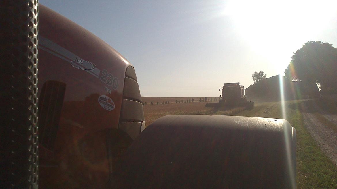 Case IH Puma cvx 230 billede 30