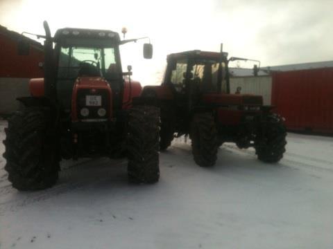 Massey Ferguson 6480 - MFen og IH en  billede 11