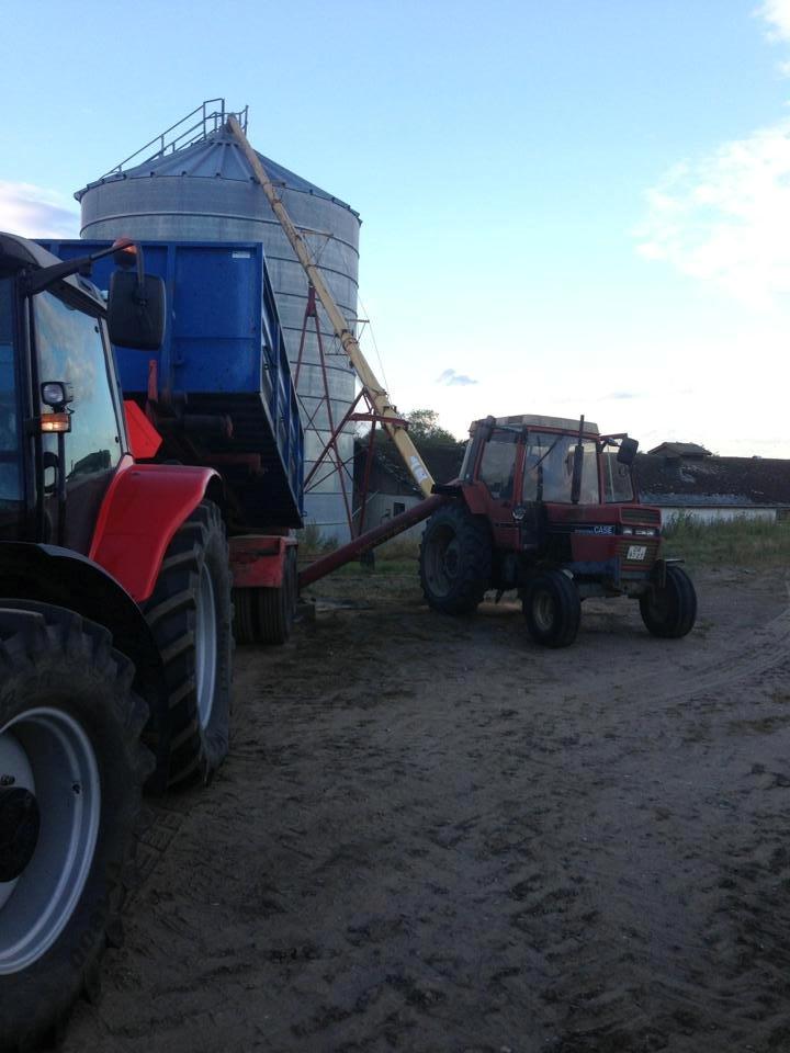 Massey Ferguson 6480 - høsten 2013 billede 12