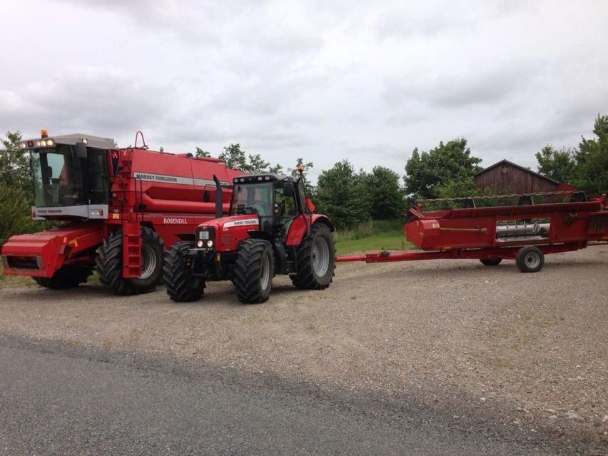 Massey Ferguson 6480 - da vi hentede mejetærskeren 
 billede 14