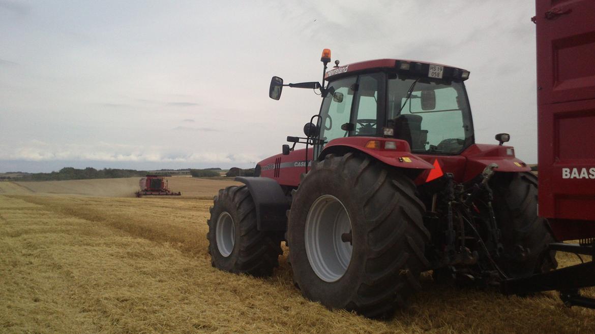 Case IH Magnum 285 billede 12