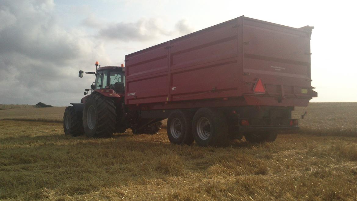 Case IH Magnum 285 billede 19