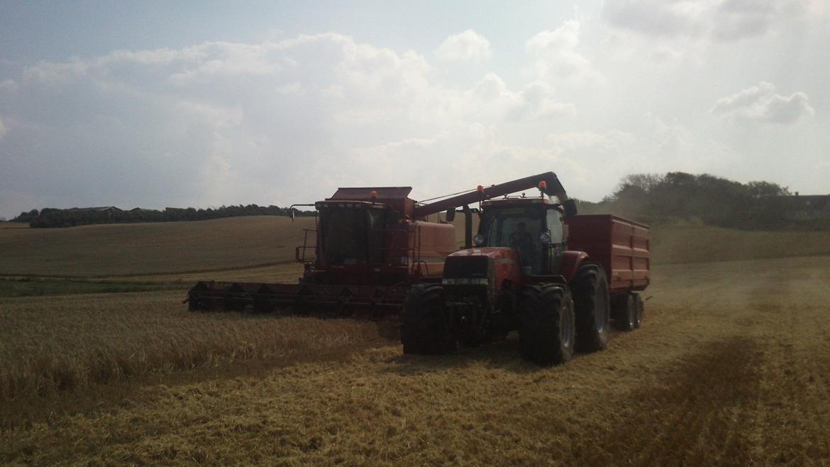 Case IH Magnum 285 billede 24