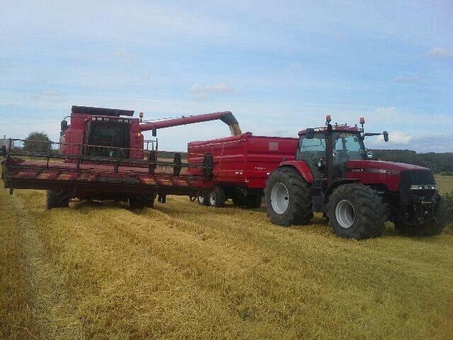 Case IH Magnum 285 billede 33