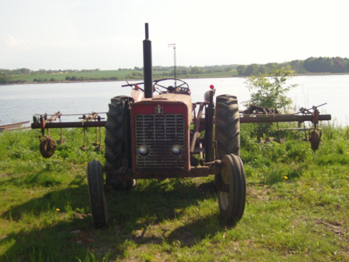 International Harvester 434 - Før i standsættelsen billede 8