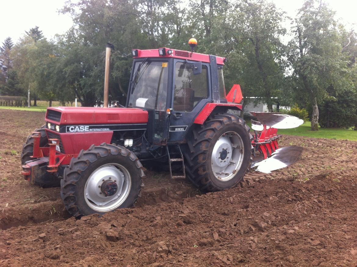 Case IH 956 XL - Nu med 4 furet plov billede 21