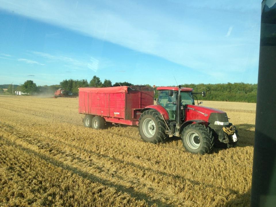 Case IH Puma 225 cvx (Æslet) - Høst 2013 billede 12