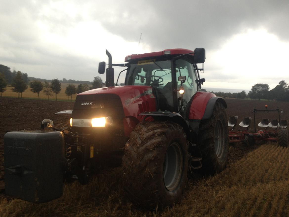 Case IH Puma 225 cvx (Æslet) billede 3