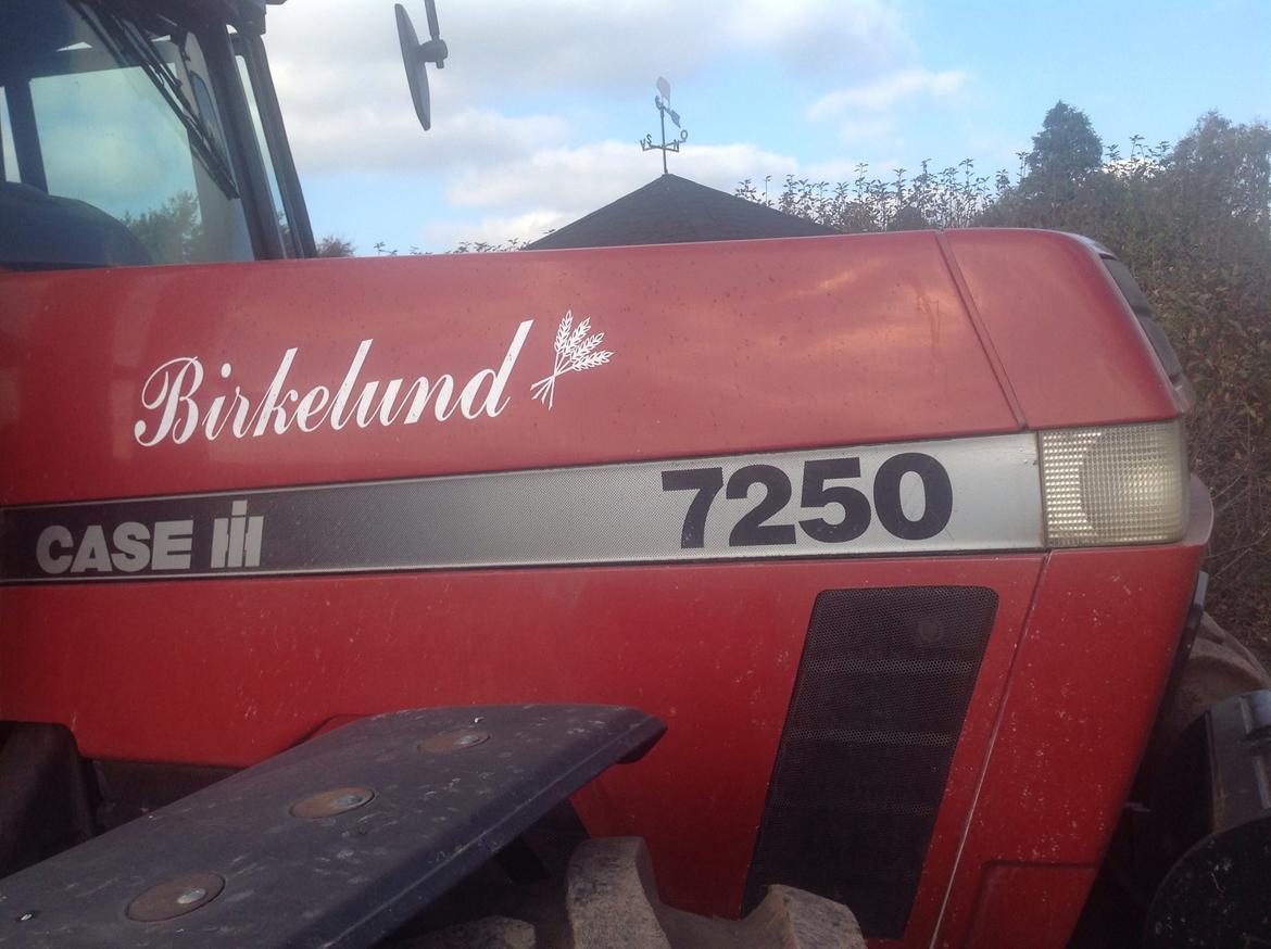 Case IH 7250 billede 17