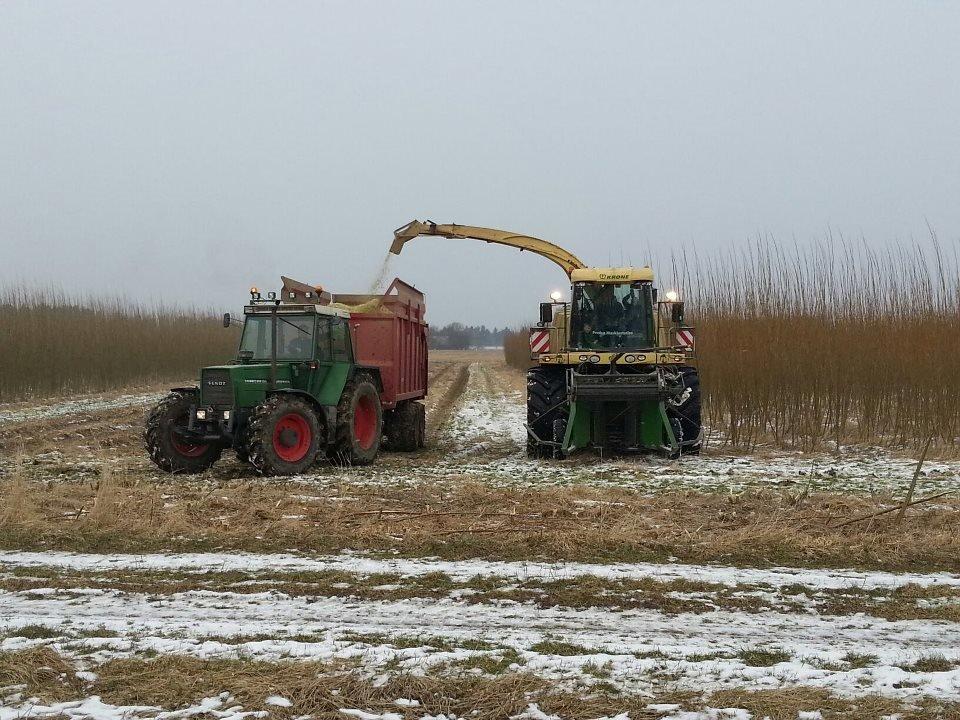 Fendt 612 LSA - 18 tons Baastrup i pilen sammen med Krone snitter fra Fredsø maskinstation.  billede 6