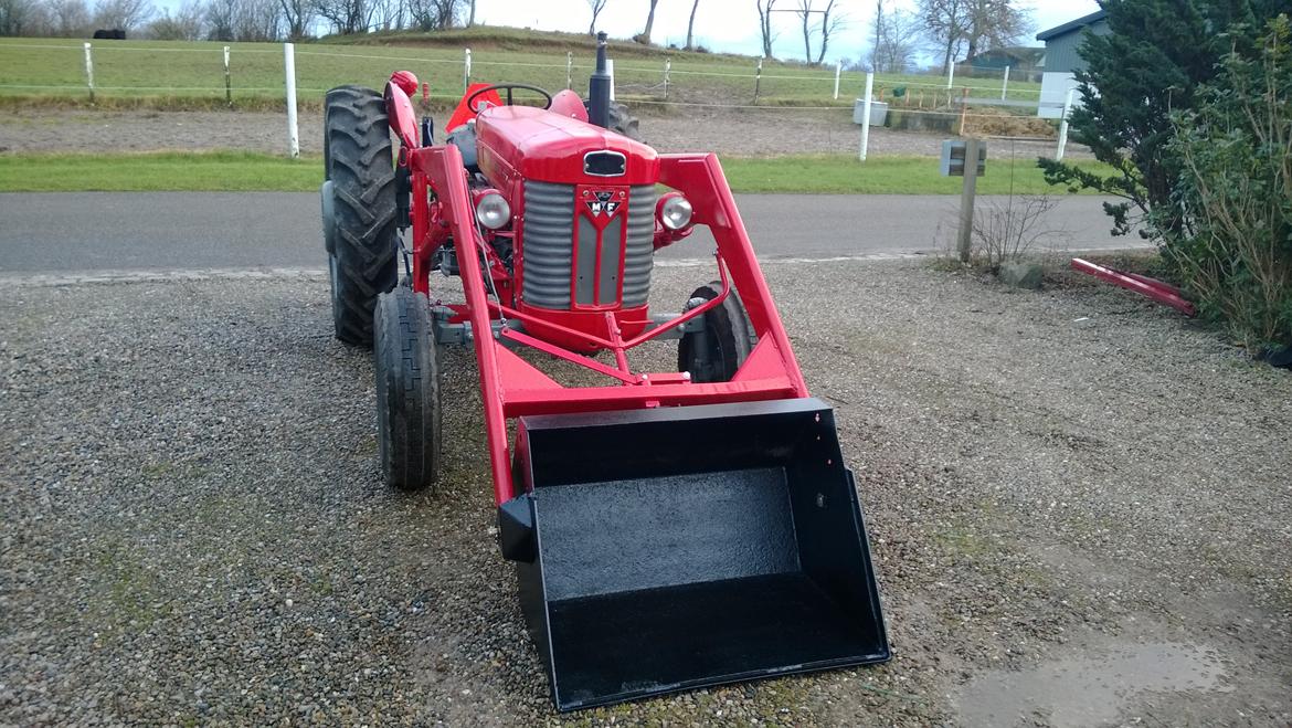 Massey Ferguson 65 mrk 2 - nyt d 1.12.13.nymalet gyro frontlæsser billede 1