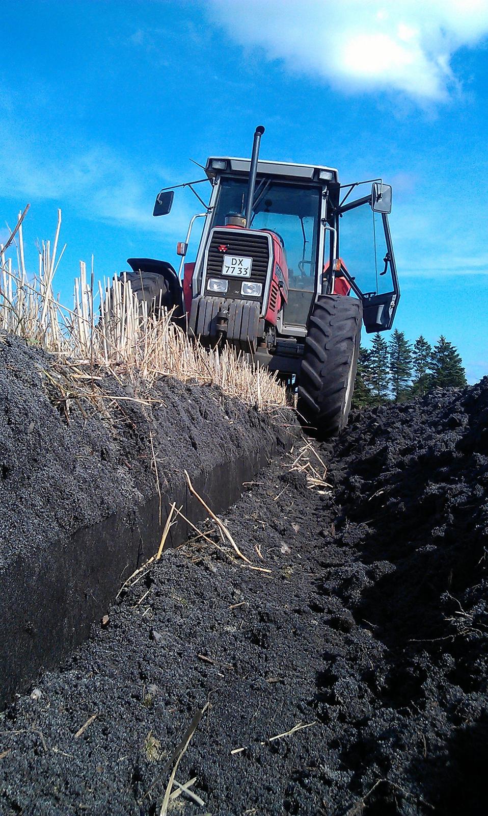 Massey Ferguson 3095 billede 6