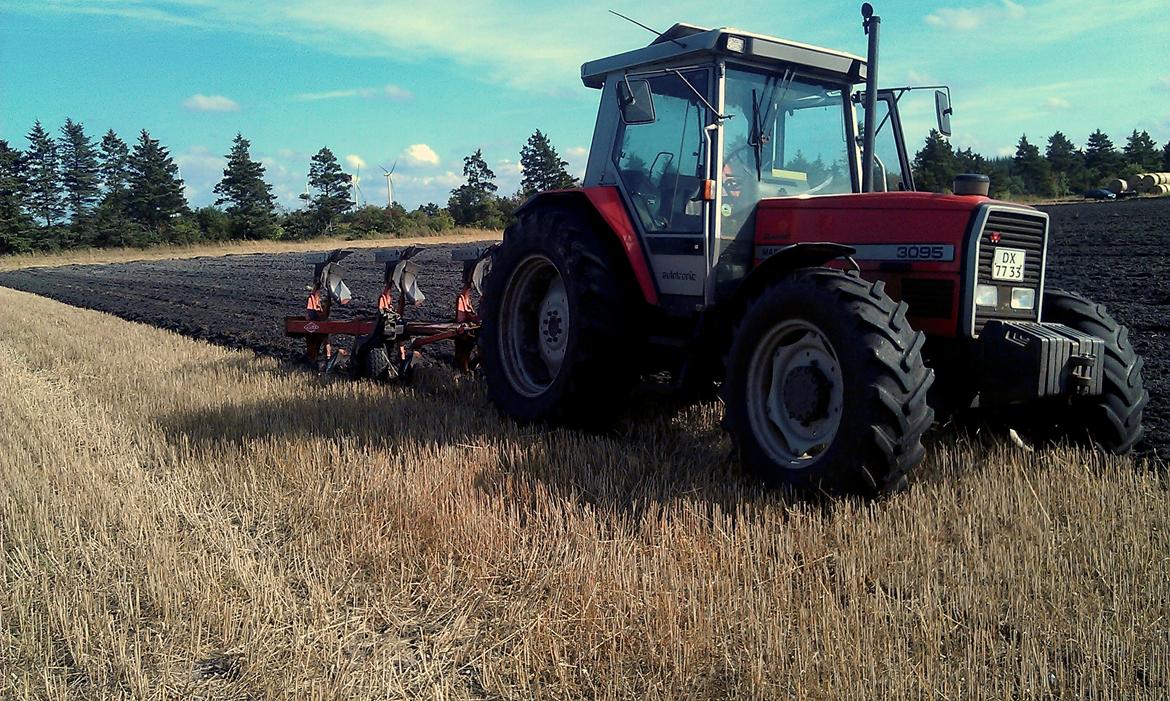 Massey Ferguson 3095 billede 5