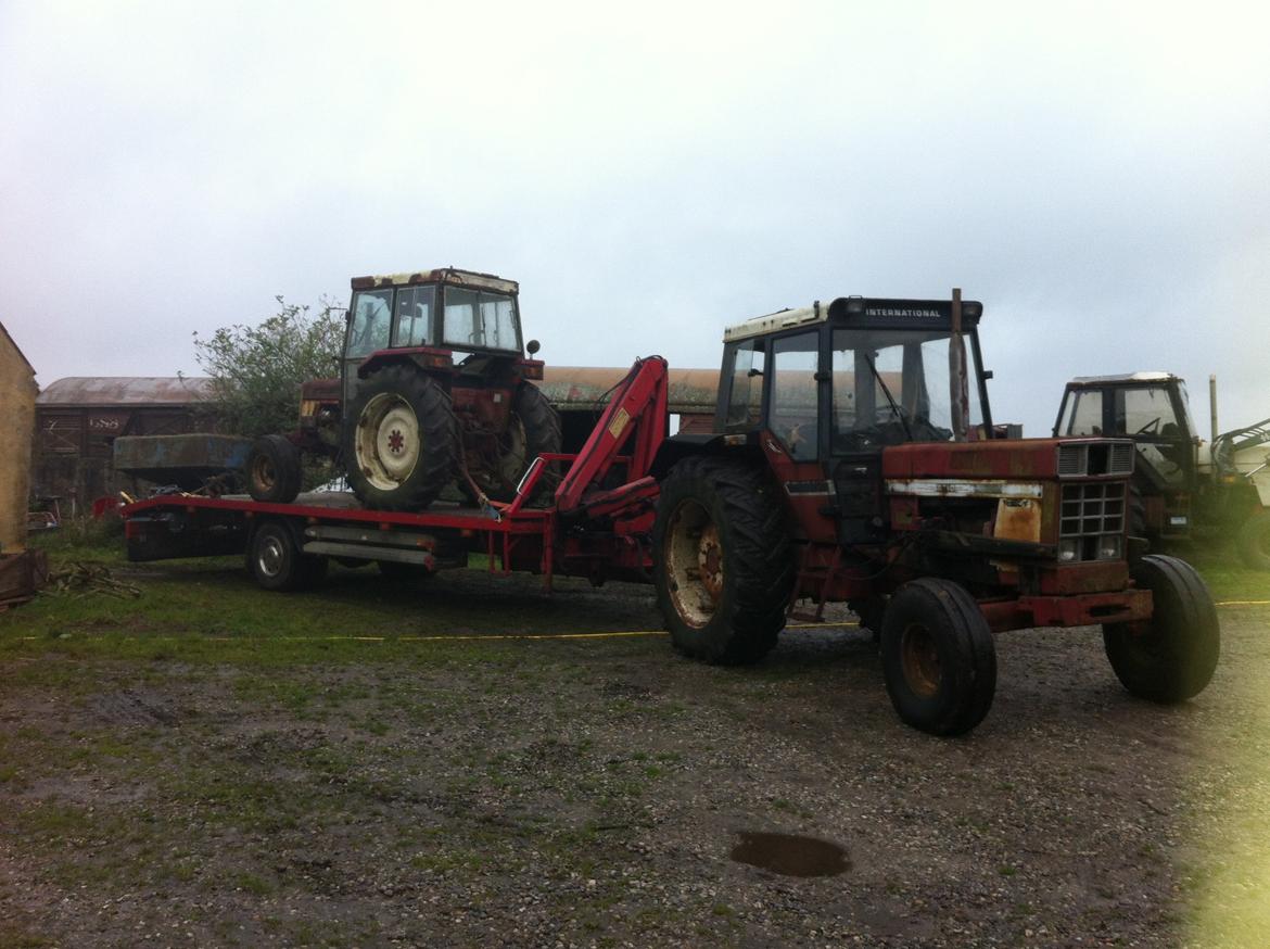Case IH 1055 - på vej ud med den bette  billede 1
