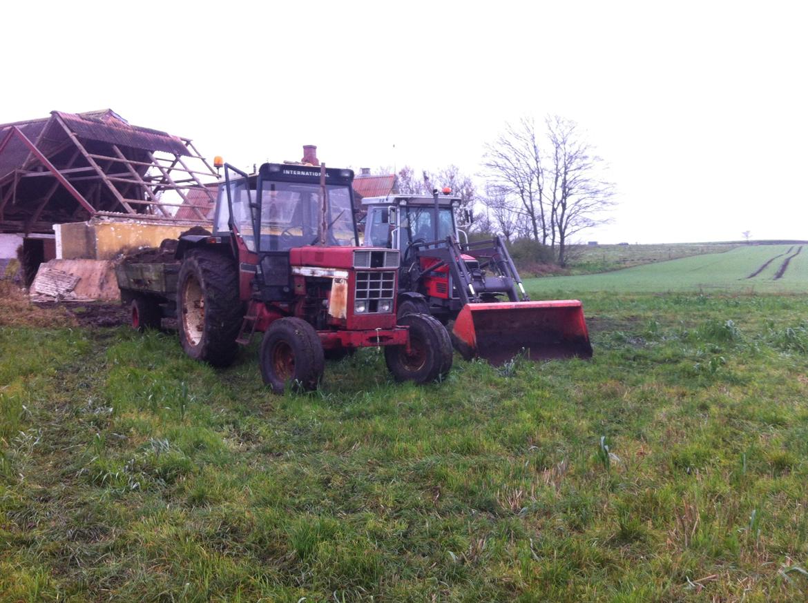 Case IH 1055 billede 3