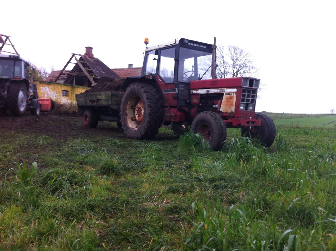Case IH 1055 billede 4