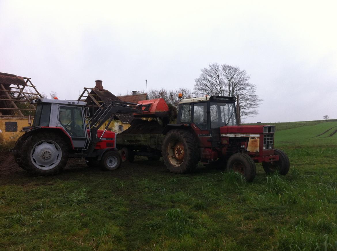 Case IH 1055 billede 5