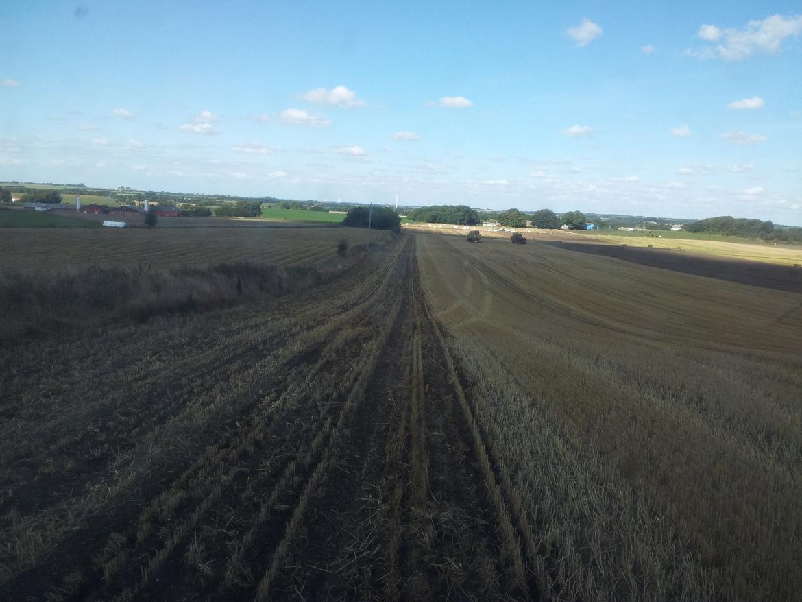 New Holland TS 115 - Lige så snart halmen er af marken, får den en tur med stubkultivatoren! billede 7
