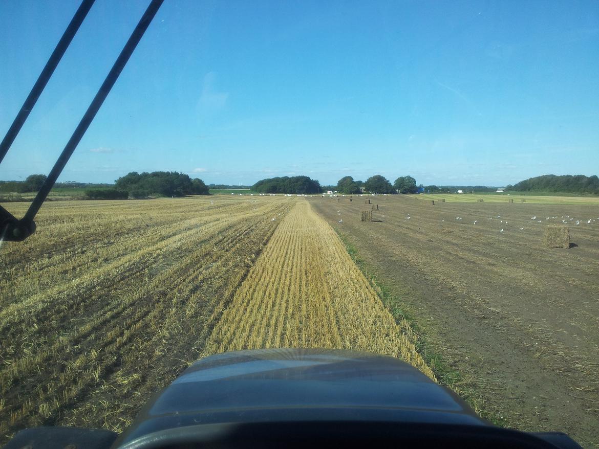 New Holland TS 115 - Kun byborere køre med GPS! billede 8