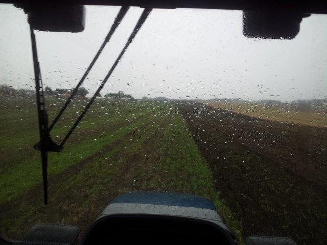 New Holland TS 115 - Dejligt dansk sommervejr! billede 14