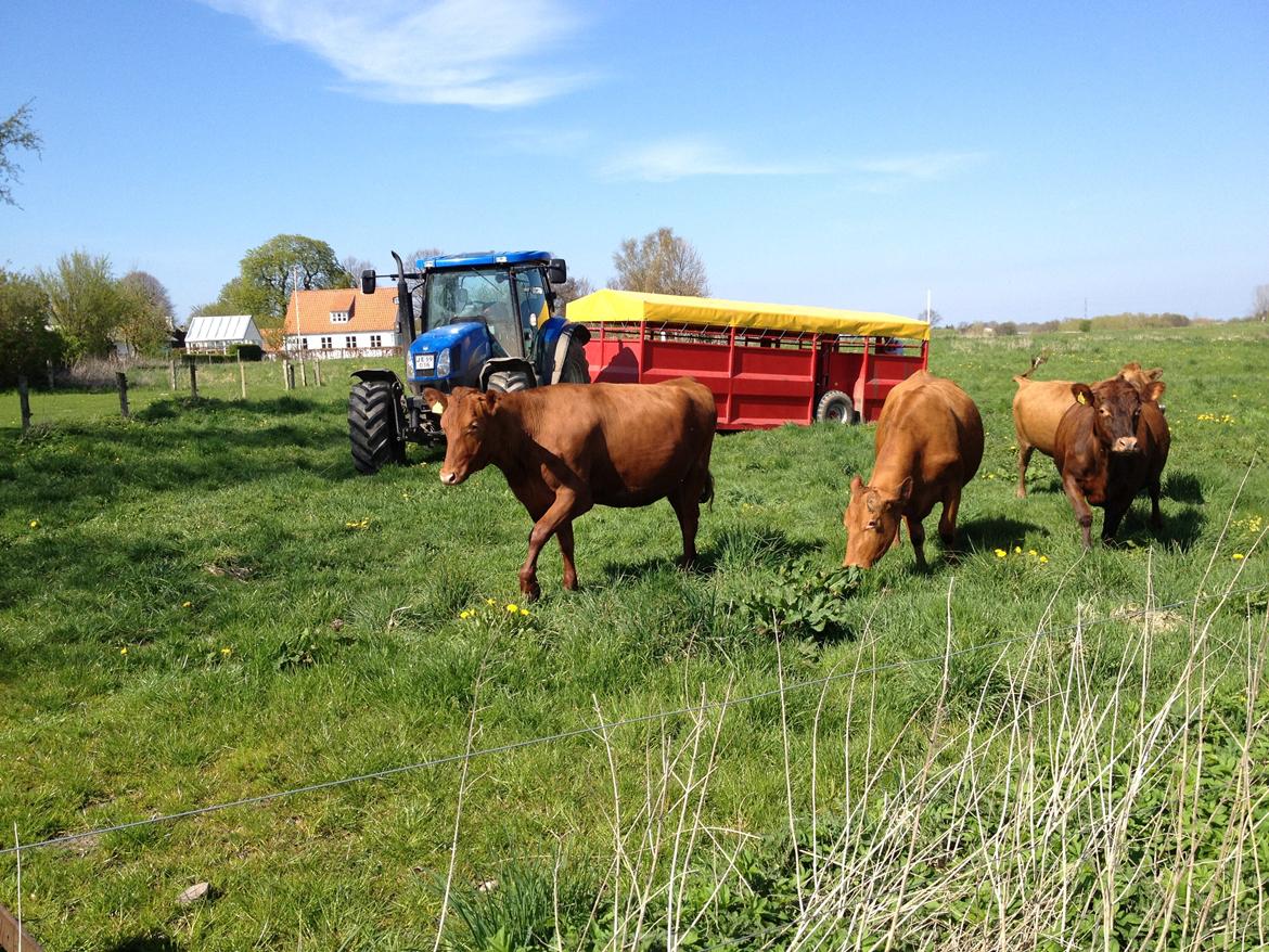 New Holland TS135A billede 3