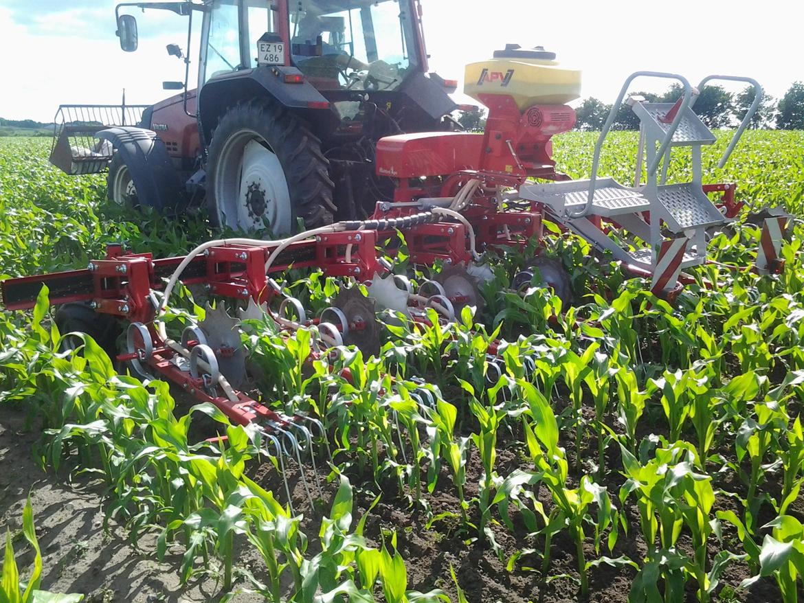 Valtra 8150 billede 8