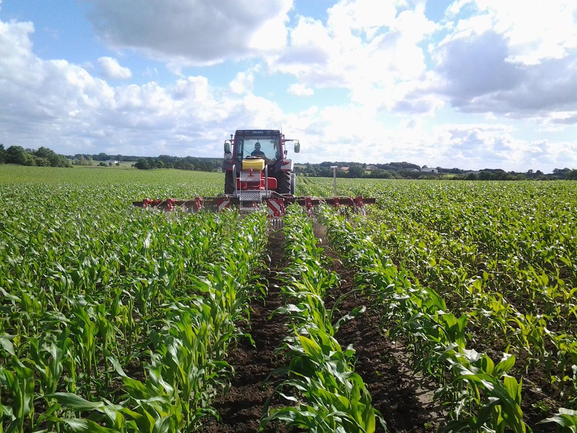 Valtra 8150 billede 9