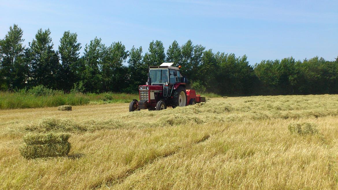 International Harvester 684 billede 13