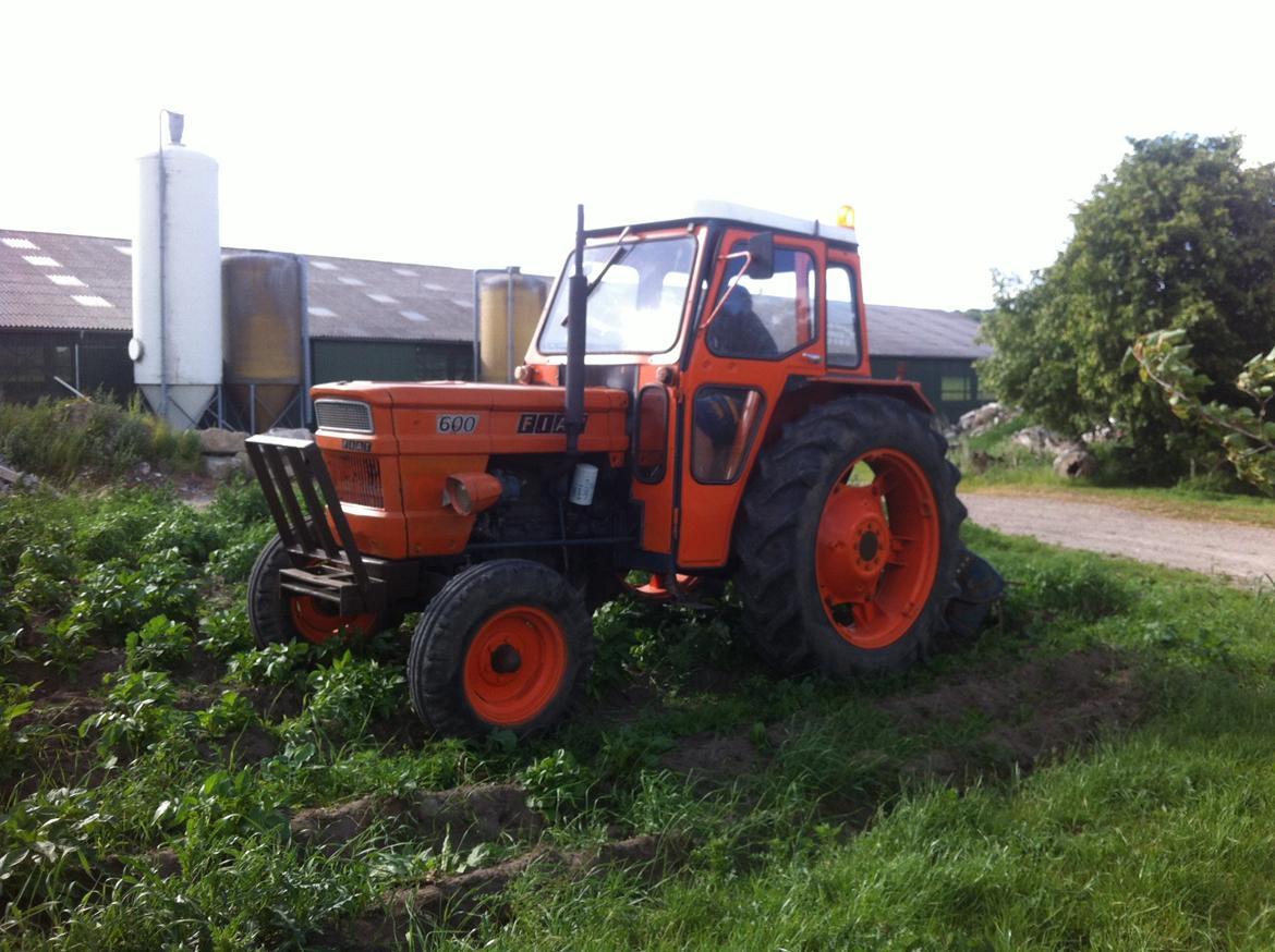 Fiat 600 solgt billede 3