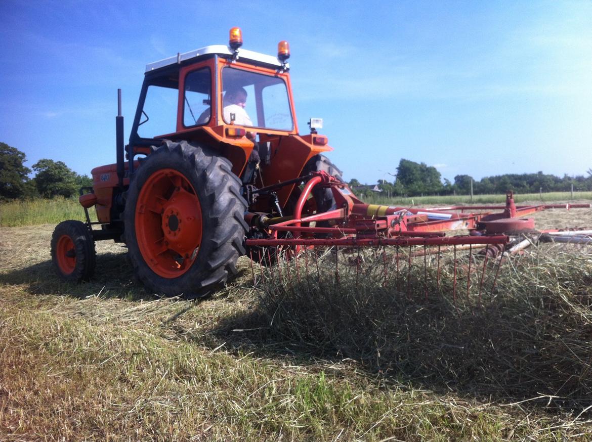 Fiat 600 solgt billede 5