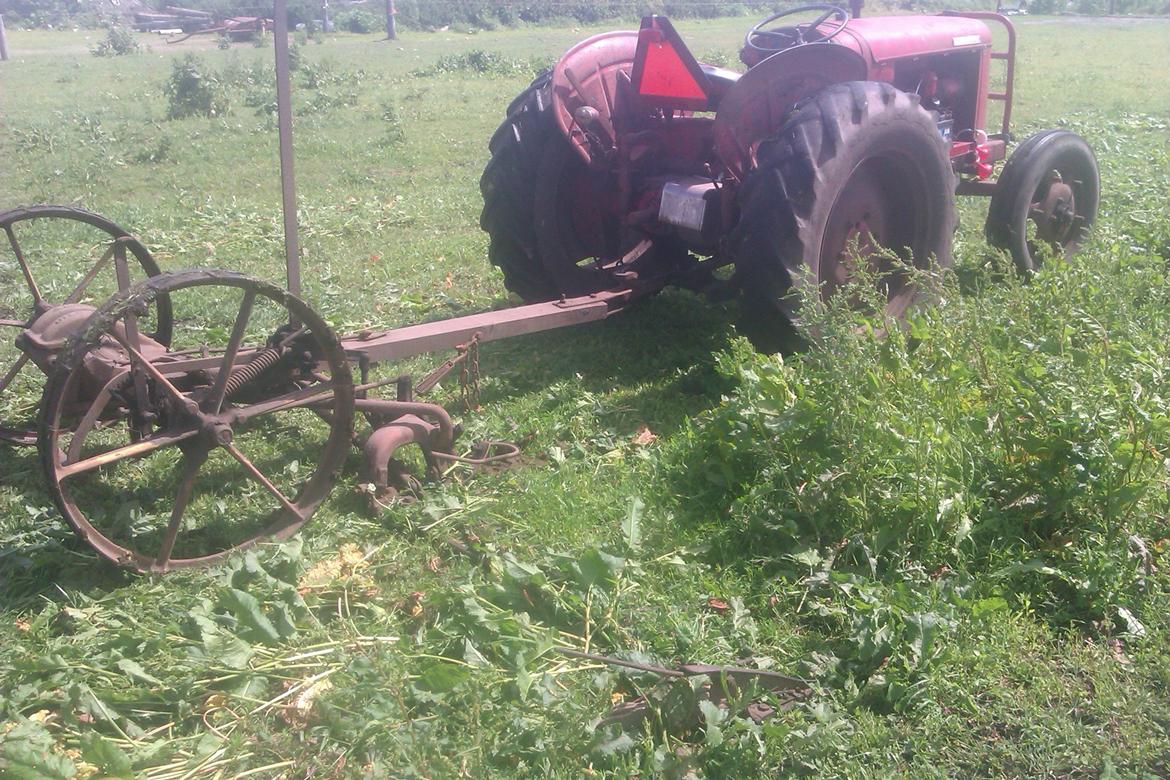 David Brown 30D Cropmaster - Ude for at klippe lidt ukrudt. billede 6