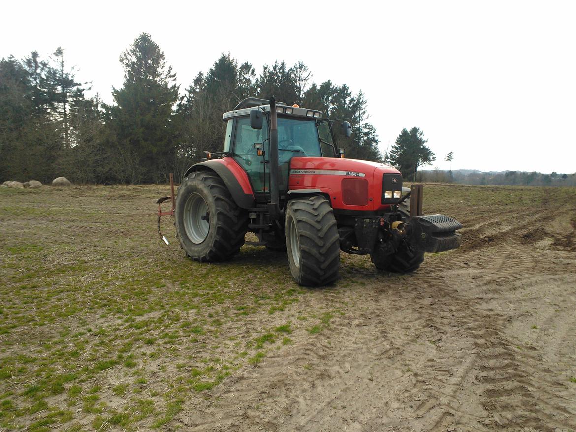 Massey Ferguson 8250 billede 10