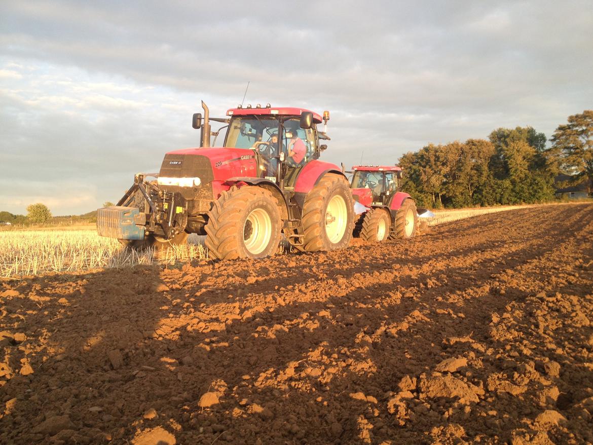 Case IH Puma 225 CVX billede 20