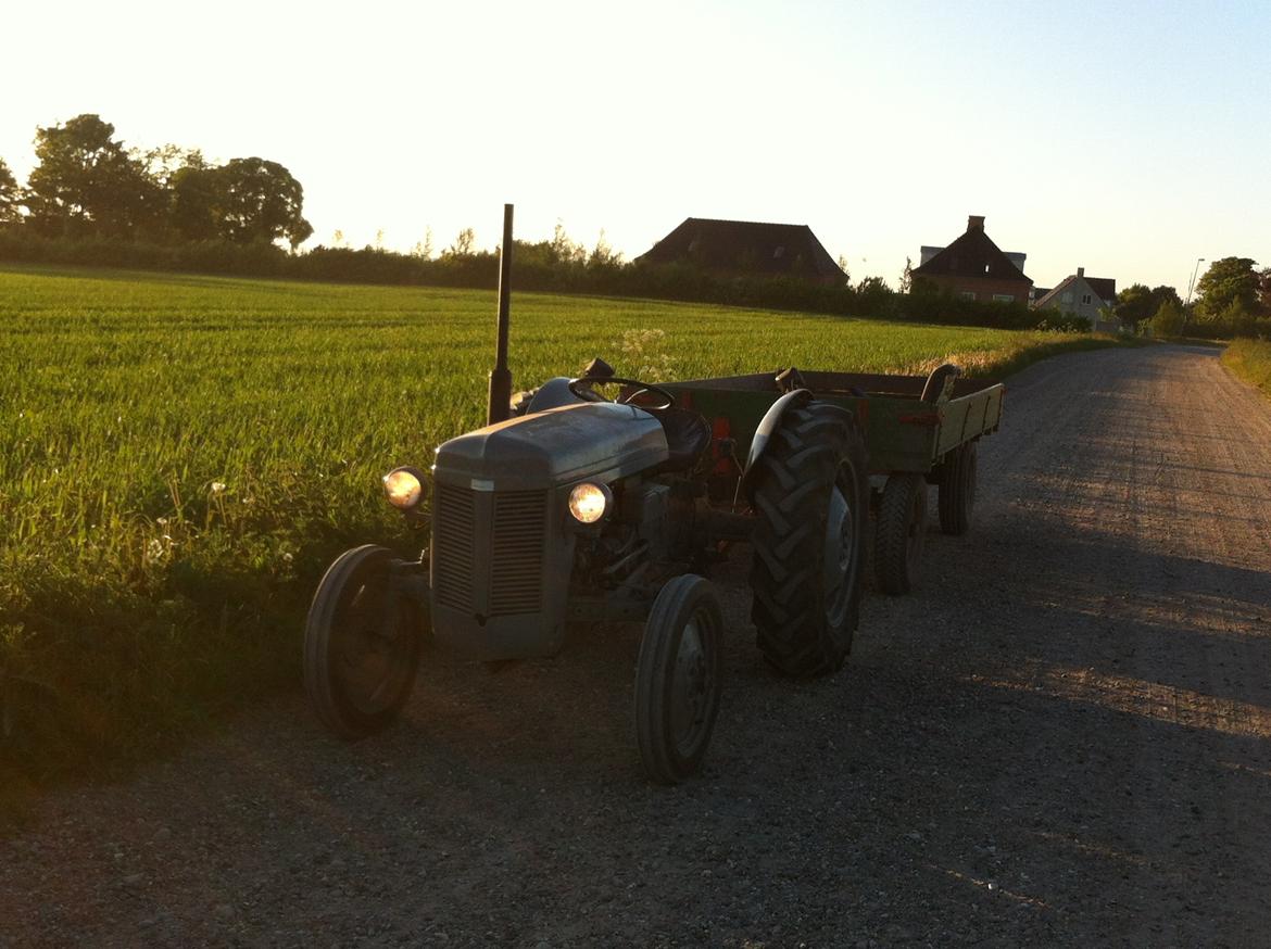 Ferguson TEA 20 kendt som 31 - en perfekt sommeraften i Juli, har været ude med hø. det er nostalgi i første klasse med så gammel en traktor og en 4 hjulet vogn billede 1