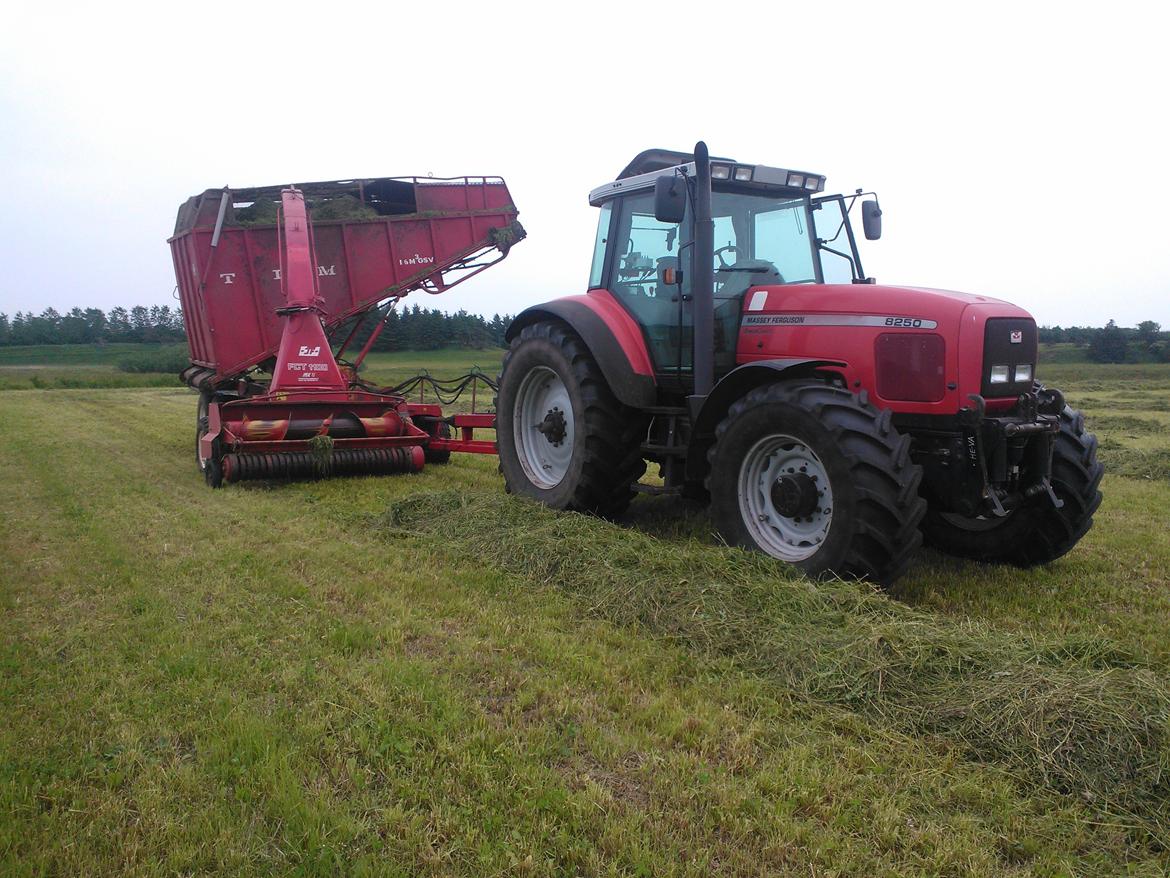 Massey Ferguson 8250 billede 1