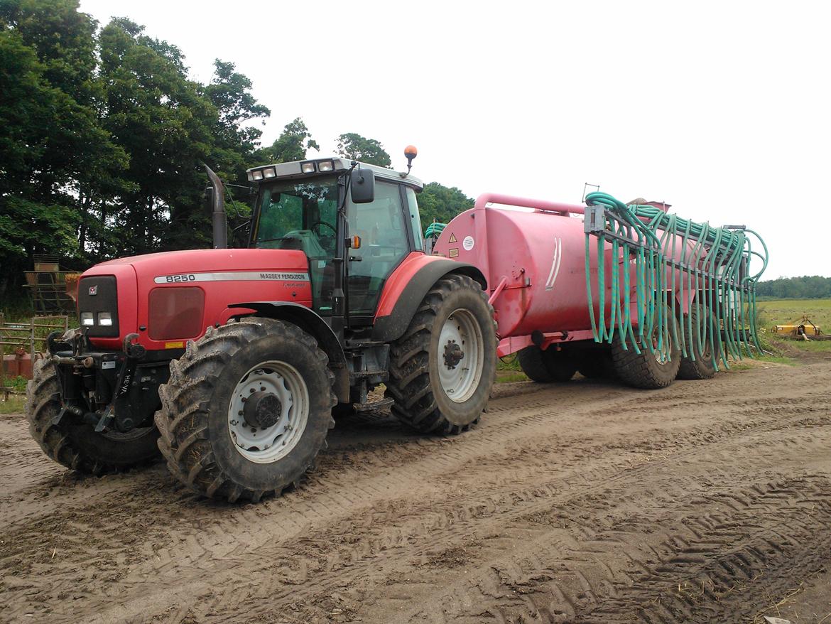 Massey Ferguson 8250 billede 11