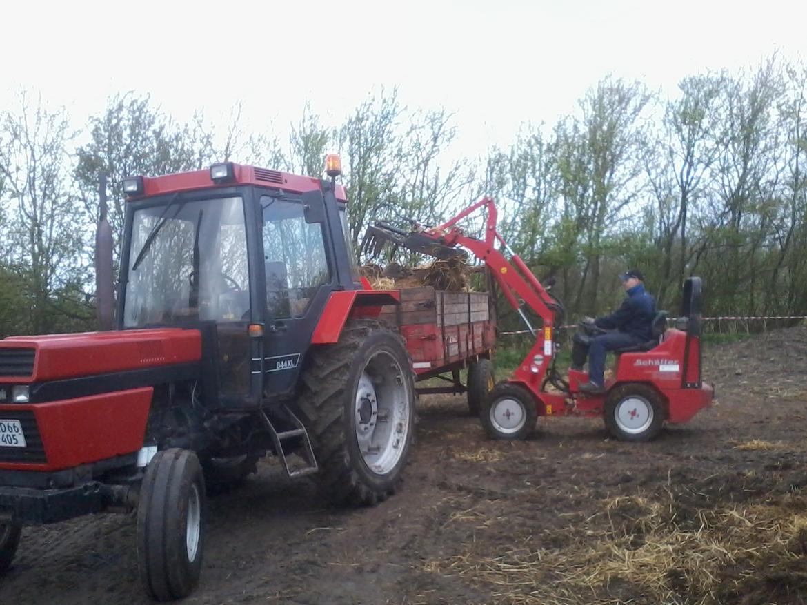 Case IH 844 xl billede 15