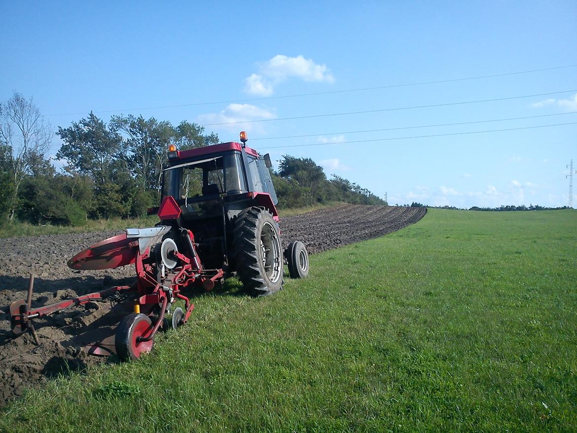 Case IH 844 xl - pløjning i efteråret. billede 22