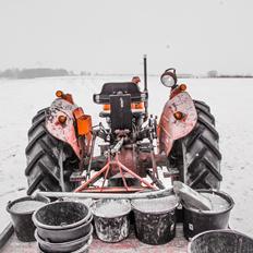 Massey Ferguson 135