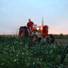 Zetor 3011