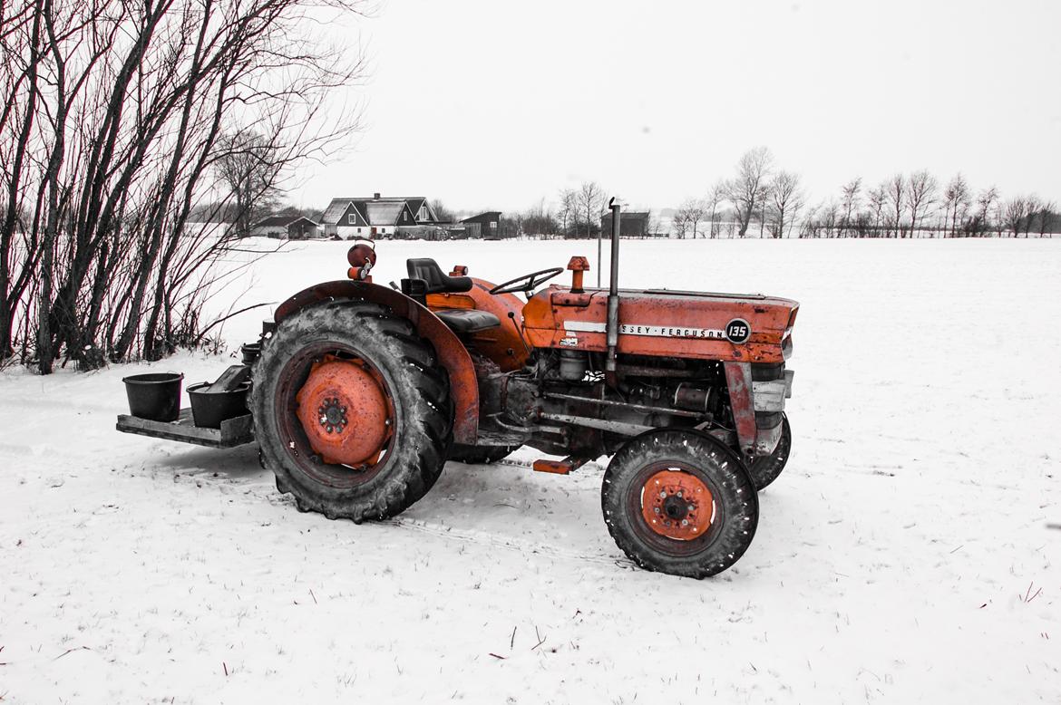 Massey Ferguson 135 billede 1