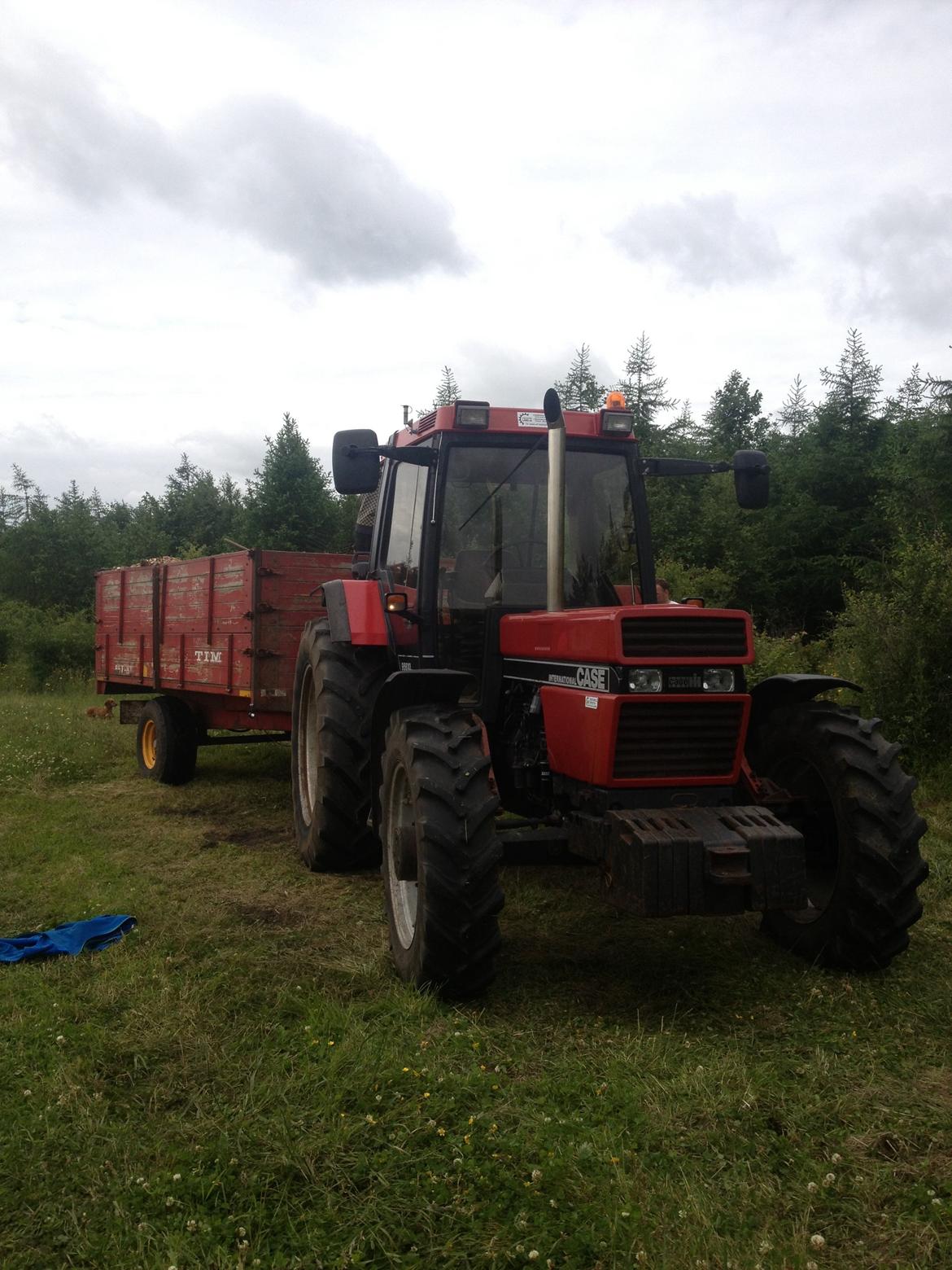 Case IH case ih 956 xl international billede 12