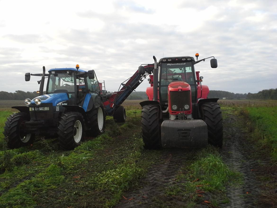 Massey Ferguson 7495 billede 12