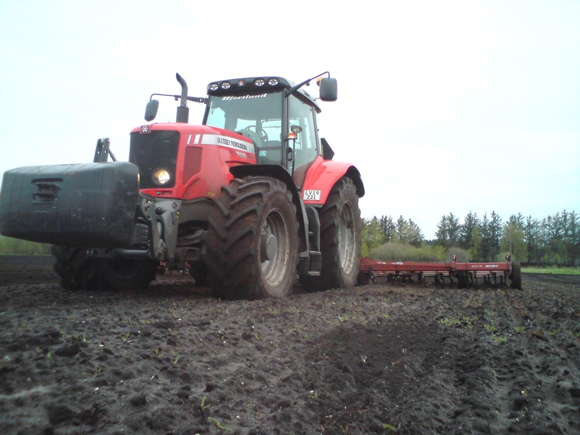 Massey Ferguson 7495 billede 23