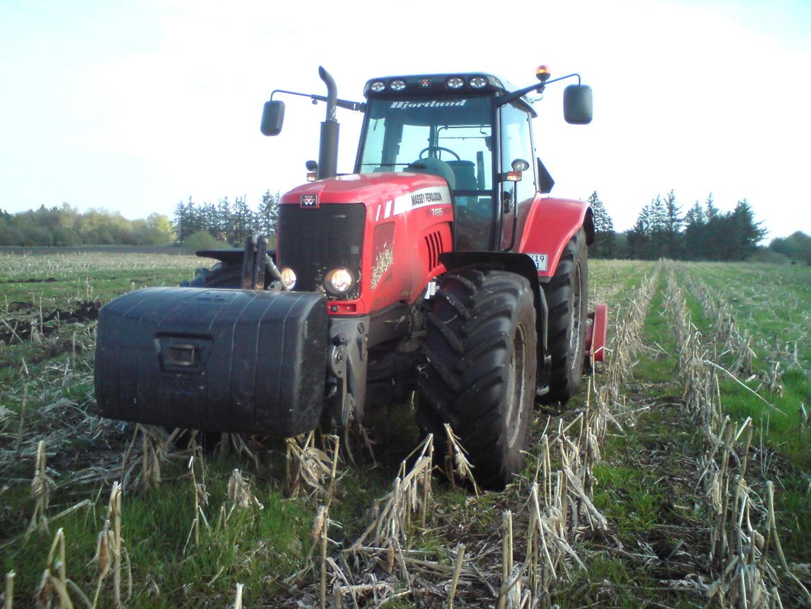 Massey Ferguson 7495 billede 35