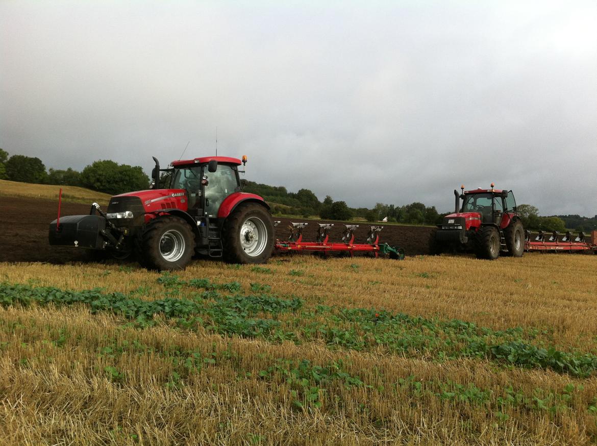 Case IH Puma 230 CVX billede 12