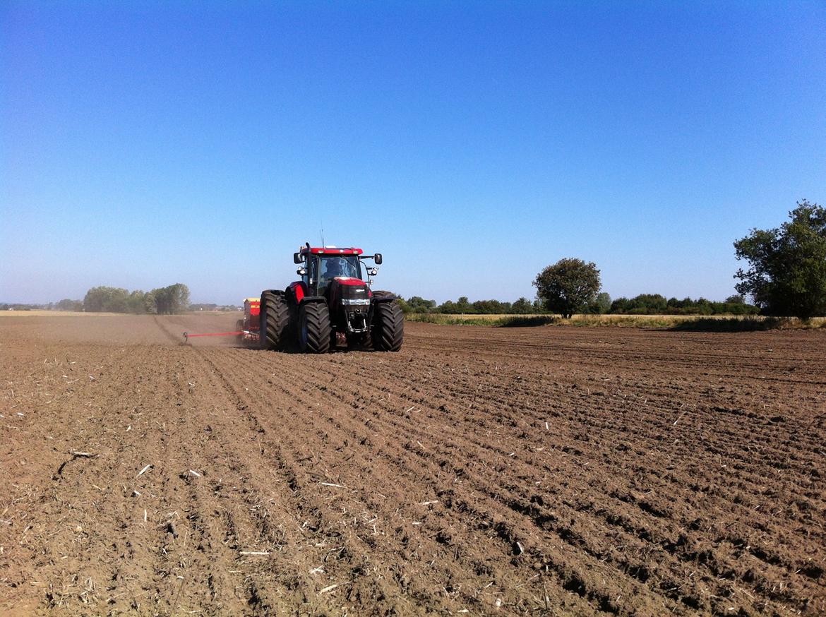 Case IH Puma 230 CVX billede 14