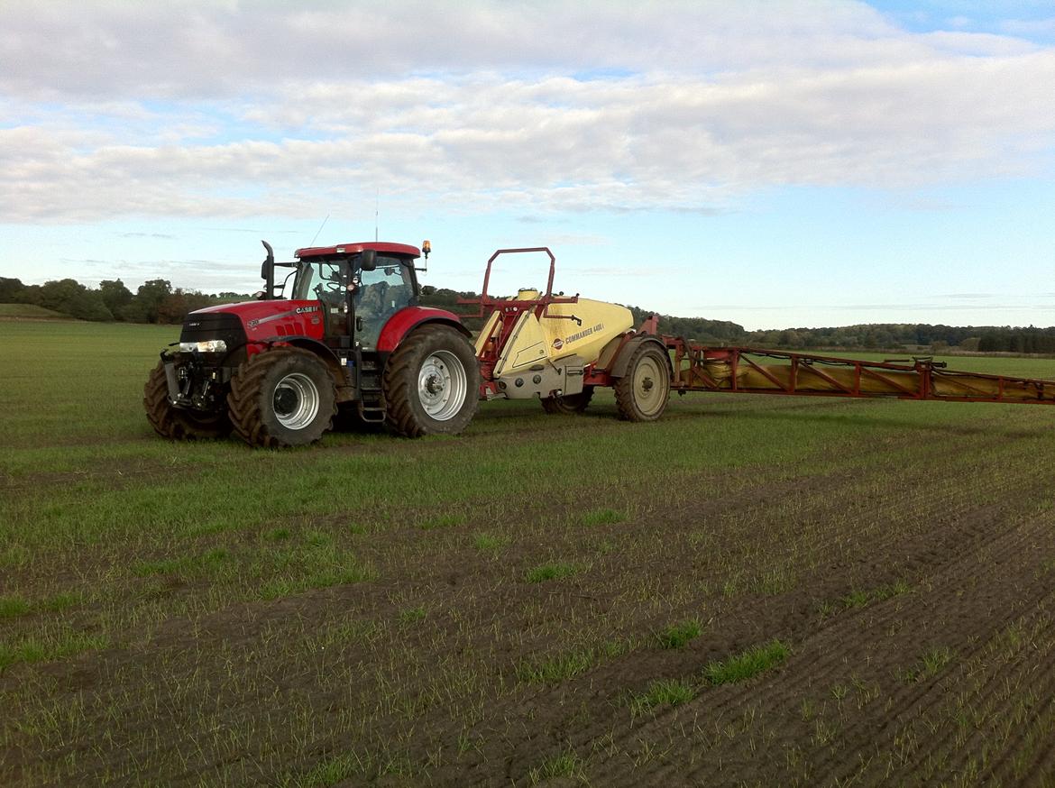 Case IH Puma 230 CVX billede 3