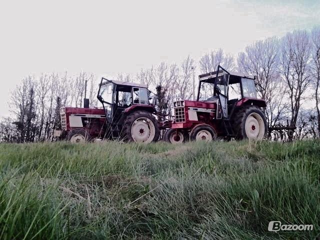 International Harvester 484 - den til højre billede 12