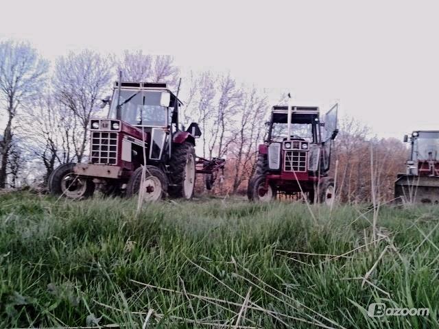 International Harvester 484 - den til højre billede 13